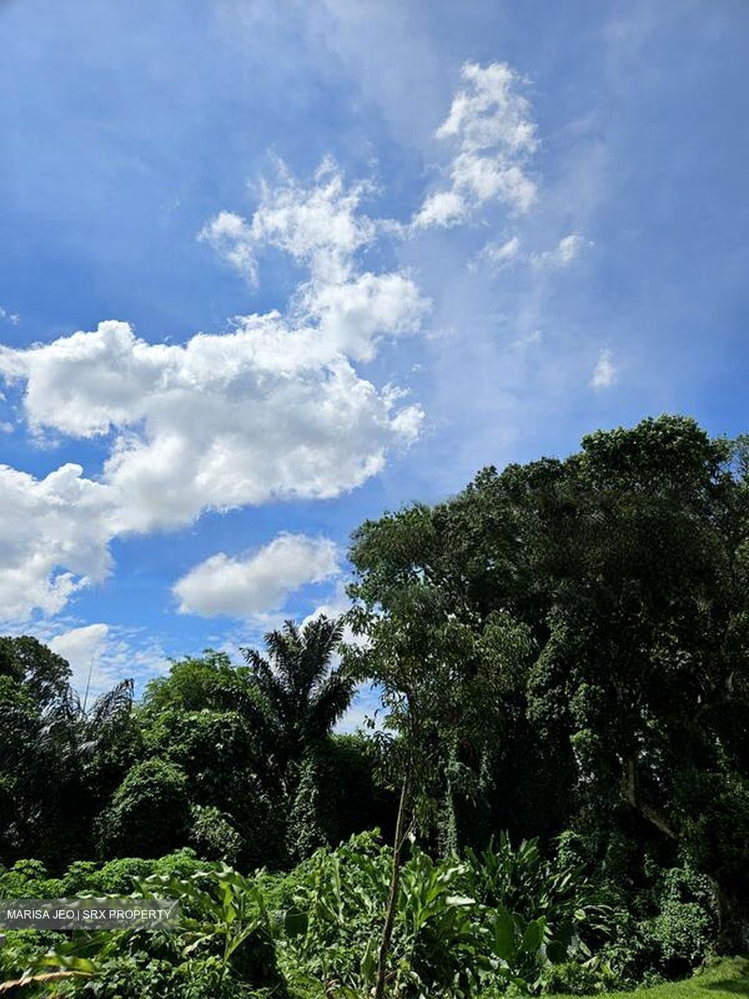 Belmont Road (D10), Detached #486686461